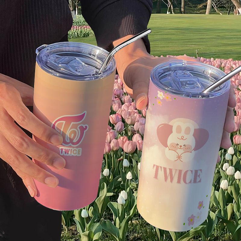 TWICE Tazza Termica Portatile  - Stainless Steel Straw recensione e prezzo